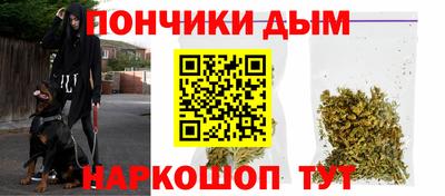 сатива Краснознаменск