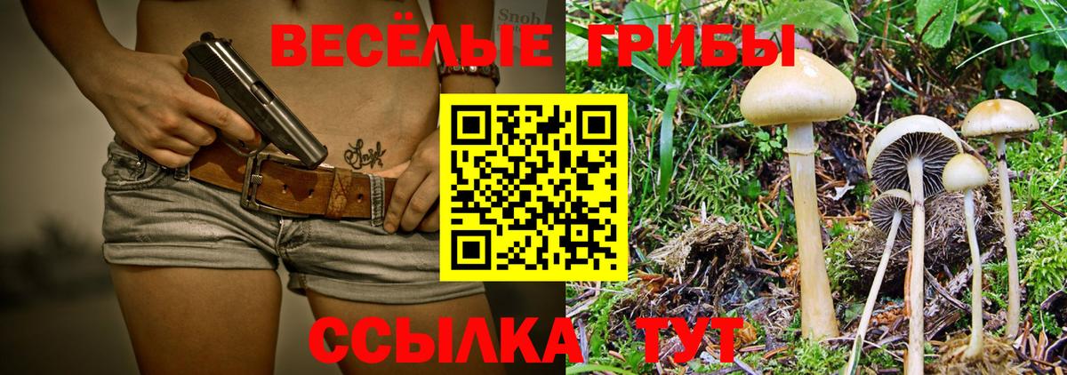 Феодосия  Псилоцибиновые грибы мухоморы  где можно купить наркотик  Вход с VPN  Псилоцибиновые грибы мухоморы 